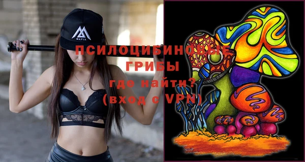 ешки Гусев