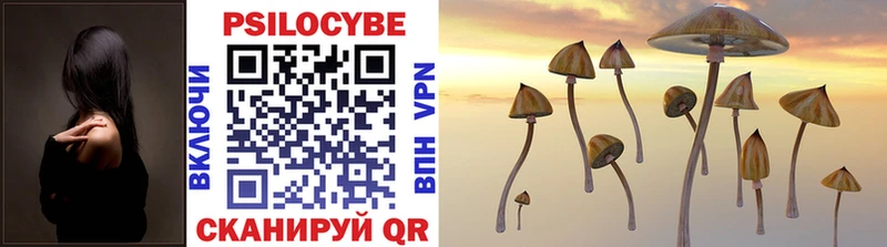 Псилоцибиновые грибы Cubensis KRAKEN вход Дедовск