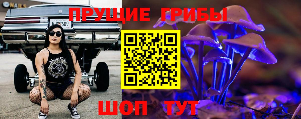 Псилоцибиновые грибы Psilocybe Дедовск